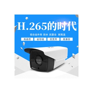 CCTV 4MM 200W PIXEL IP-CAM H.265