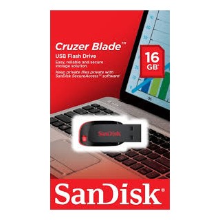 F/D SanDisk 16GB