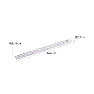 deli Steel Ruler NO.8463钢直尺30cm