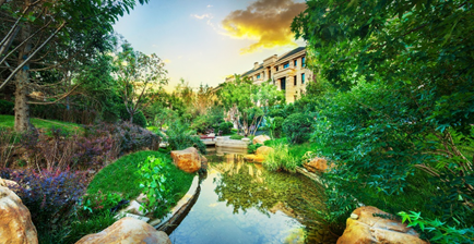 15509020668778.png 3.png