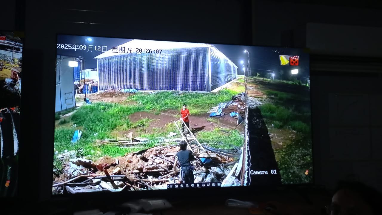 巨创现场图片 6
